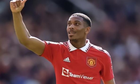 一家領先的 一家領先的