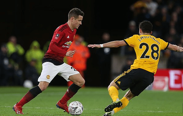 在本届新加 在本届新加